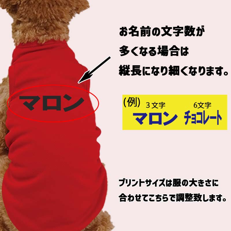 愛犬の名入れが出来る 犬用メッシュタンクトップ カタカナ横書き 犬服 超小型犬～中型犬 Xs~2xl 5色展開 プリントカラーは10色 メール